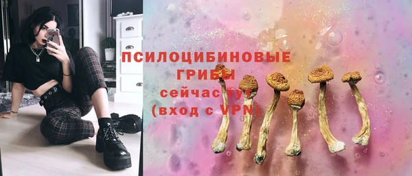 ECSTASY Алексеевка