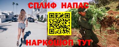 стаф Кизляр