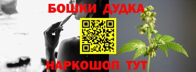 индика Кизилюрт