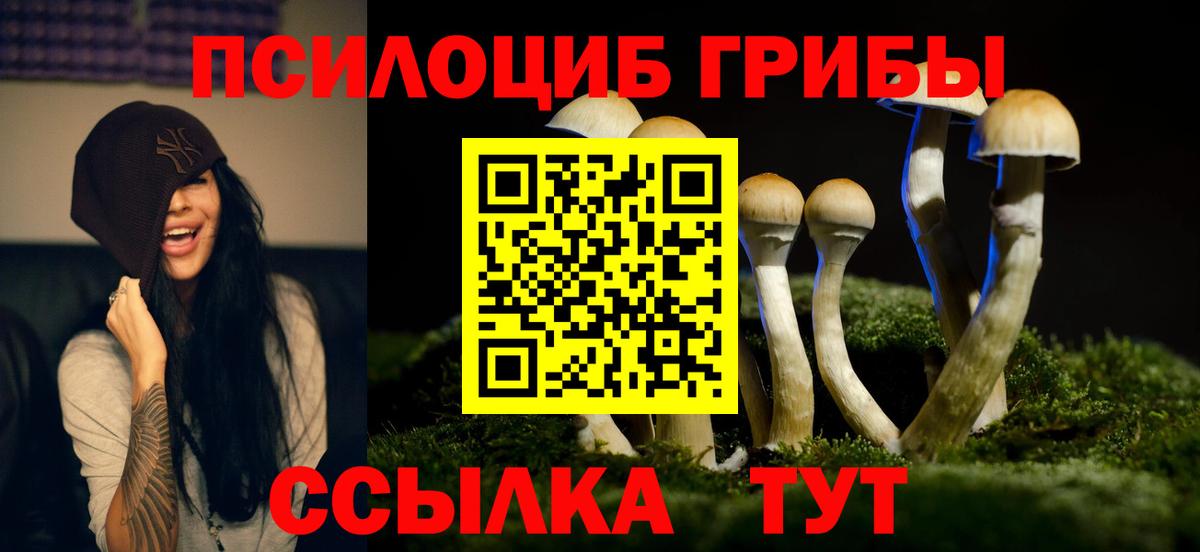 Якутск  Галлюциногенные грибы GOLDEN TEACHER  купить   Вход с VPN 